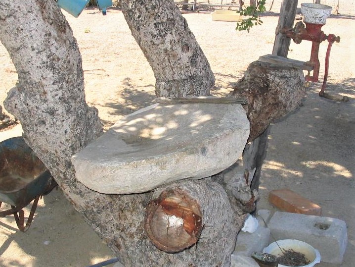 After Inocencio Rosas Castro from El Sargento married  Socorro Aguilar from Rancho Las Canoas, he shouldered this heavy rock metate Socorro had grown up using, and carried it more than 6 miles down the arroyo to their outdoor kitchen in El Sargento. 