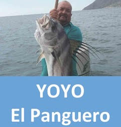 Yoyo Fishing & Water Adventures – The Ventana View