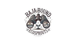 Diseño sin título – 1